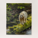 Recherche de ours puzzles Forêt