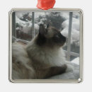 Search for himalayan cat ornaments Kitty