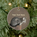 Search for tabby cat ornaments Animals