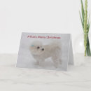 Search for bichon christmas cards Merry