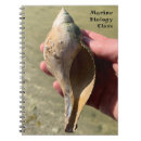 Recherche de grossesse carnets Plage