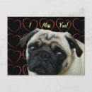 Recherche de de carlin cartes postales Chien