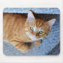 Recherche de féline tapis souris Mousepads