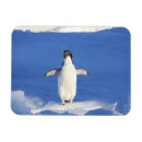 Recherche de drôles magnets Animal
