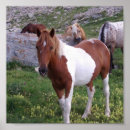 Search for pony posters Equestrian