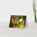 Search for pitchers cards Carnivorous plants