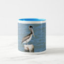 Recherche de pelican tasses Animal