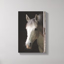 Search for horse canvas prints Mare