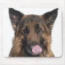 Search for front view electronics Dog