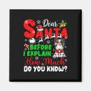 Search for how much magnets Funny christmas