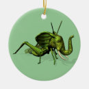 Search for cricket ornaments Katydid
