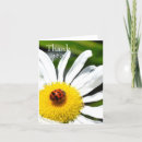 Search for ladybug thank you cards Summer