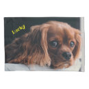 Search for spaniel pillowcases Pet