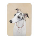Recherche de whippets magnets Pour tous