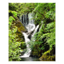 Recherche de souterrains posters Baleines