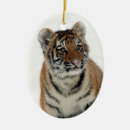 Search for tiger ornaments Snow