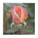 Recherche de coucher soleil carreaux Orange