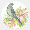 Search for songbirds stickers Mockingbird