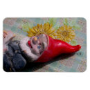 Recherche de gnome magnets Drôle