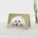 Search for kids belated birthday cards Animals