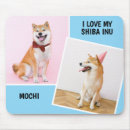 Search for inu electronics Cute