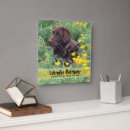 Search for chocolate lab art Brown