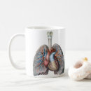 Recherche de anatomie tasses Médical