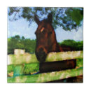 Search for horse tiles Nature