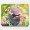 Search for birding quotes mousepads Inspirational