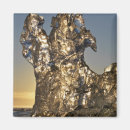 Search for ecosystem magnets Environment