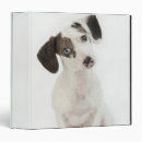 Recherche de aimer bureau fournitures Animal