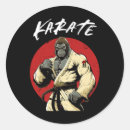 Search for karateka stickers Taekwondo