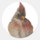Search for red cardinal stickers Redbird