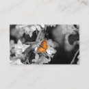 Search for apple tree business cards Floral