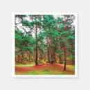 Search for deciduous forest Landscape