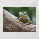 Recherche de grenouille cool cartes postales Crapaud