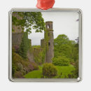 Search for cork ireland christmas decor Blarney stone