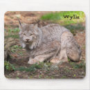 Recherche de gros chat tapis souris Nature