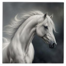 Recherche de beau cheval carreaux Étalon