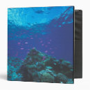 Search for australia binders Blue