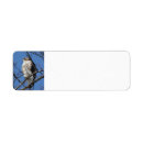 Search for hawk return address labels Raptor