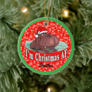 Search for hippopotamus ornaments Christmas hippo