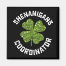 Search for coordinator magnets Irish