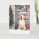 Search for yellow labrador retriever christmas cards Puppy