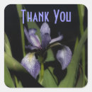 Search for purple iris flower stickers Thank you