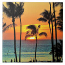Search for maui tiles Tropical