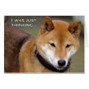 Recherche de shiba cartes postales Rouge