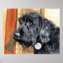 Search for labradoodle art Dogs