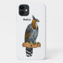 Search for hawk iphone cases Bird
