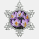 Search for sunny ornaments Nature